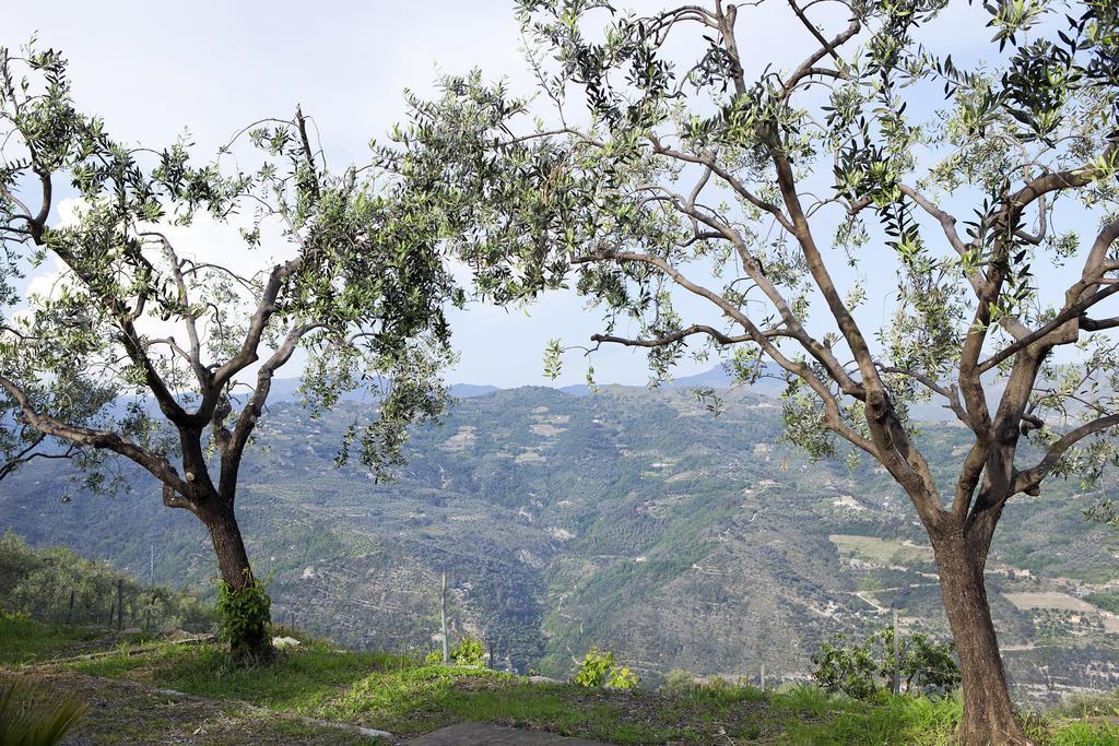 Terre Bianche Appartamenti Dolceacqua Εξωτερικό φωτογραφία