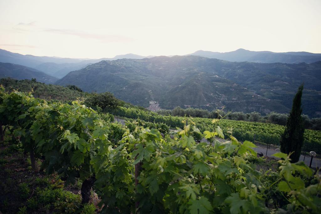 Terre Bianche Appartamenti Dolceacqua Εξωτερικό φωτογραφία